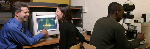 College of Arts & Sciences