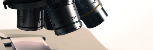 Medical Laboratory Sciences