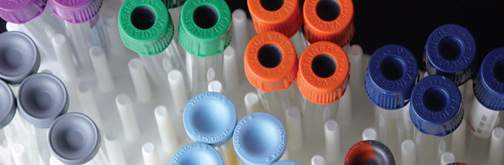 Medical Laboratory Sciences