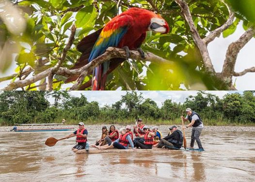 Parrot in the trees and a group of people on a balsa wood raft
