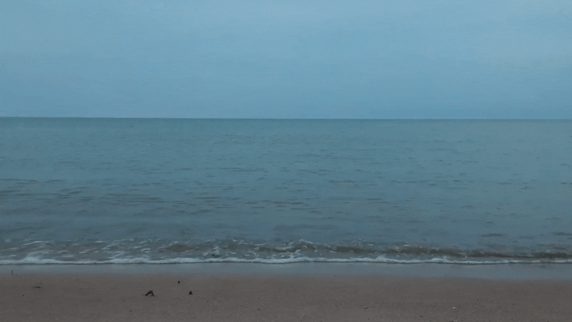 a view of water from the beach