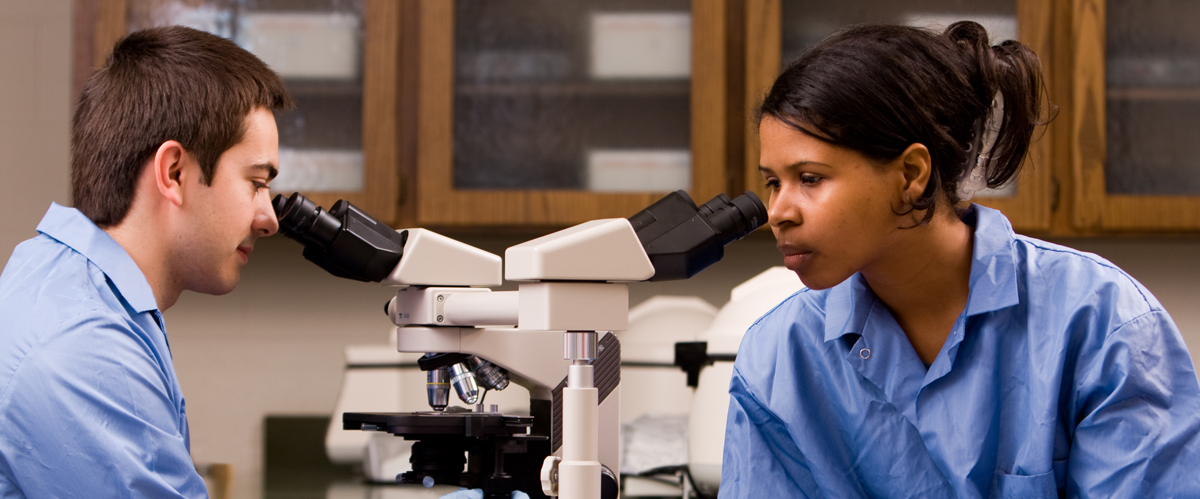 Banner Image - Medical Laboratory Science 