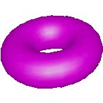 purple torus