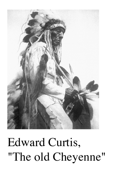 Curtis2