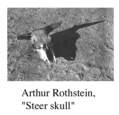 Rothstein2