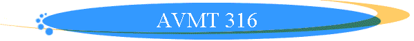 AVMT 316