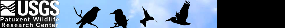 BBS Banner