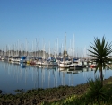 Berkley Marina