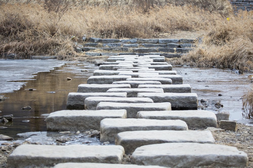 stepping stones