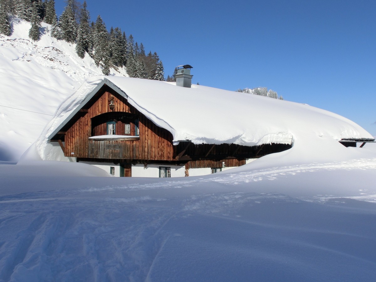 Snowy Roof