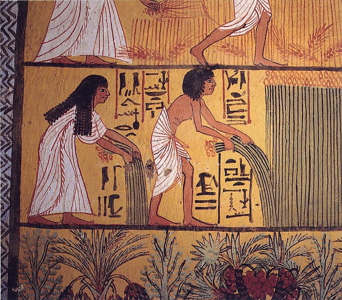 Egyptian harvest