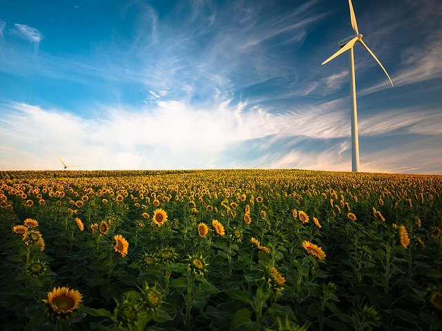 wind turbine