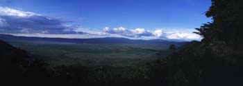 Panoramic