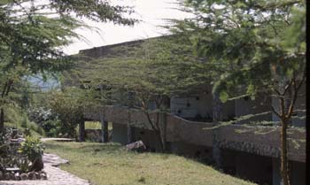 SerengetiSopa1