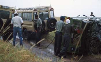 TippedTruck1