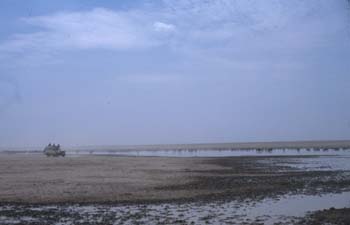 WaterHole3