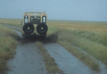 WetRoad