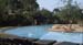 TangerinePool