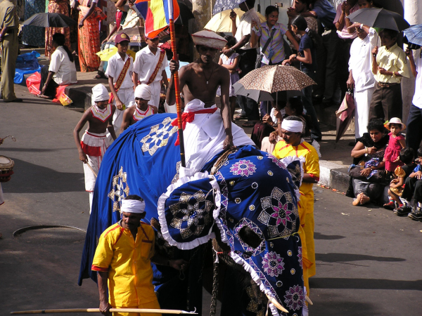 P8010106