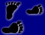 feet